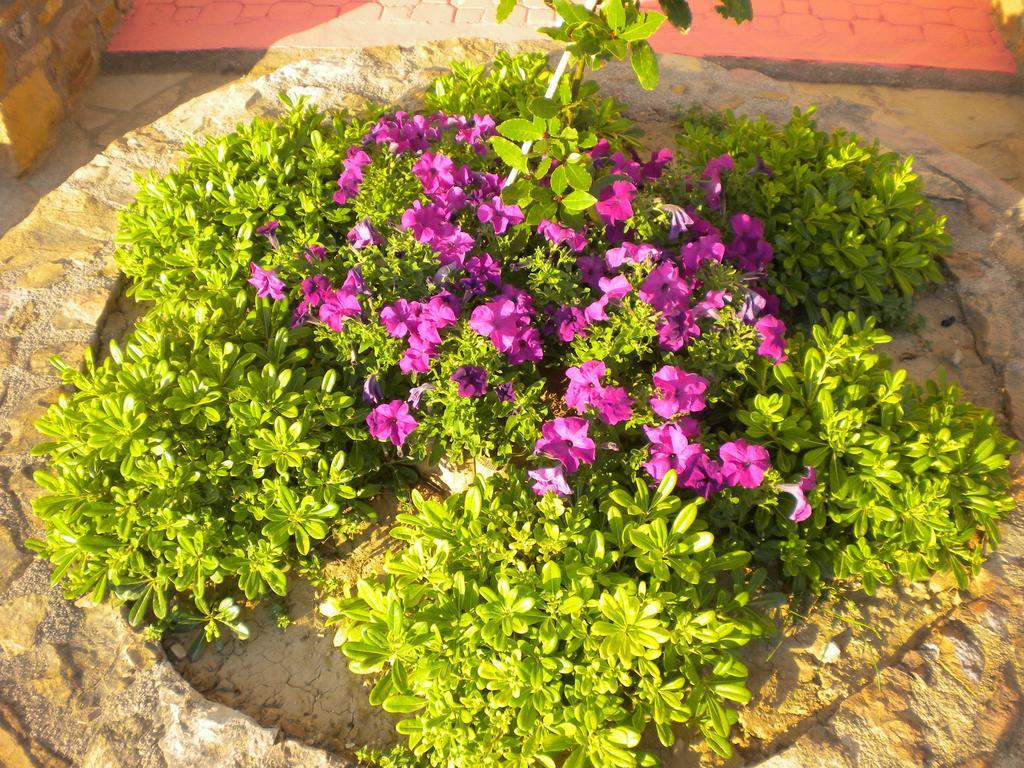 Chios Rooms Myview Karfás Pokoj fotografie